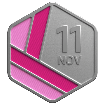 Nov LeetCoding Challenge